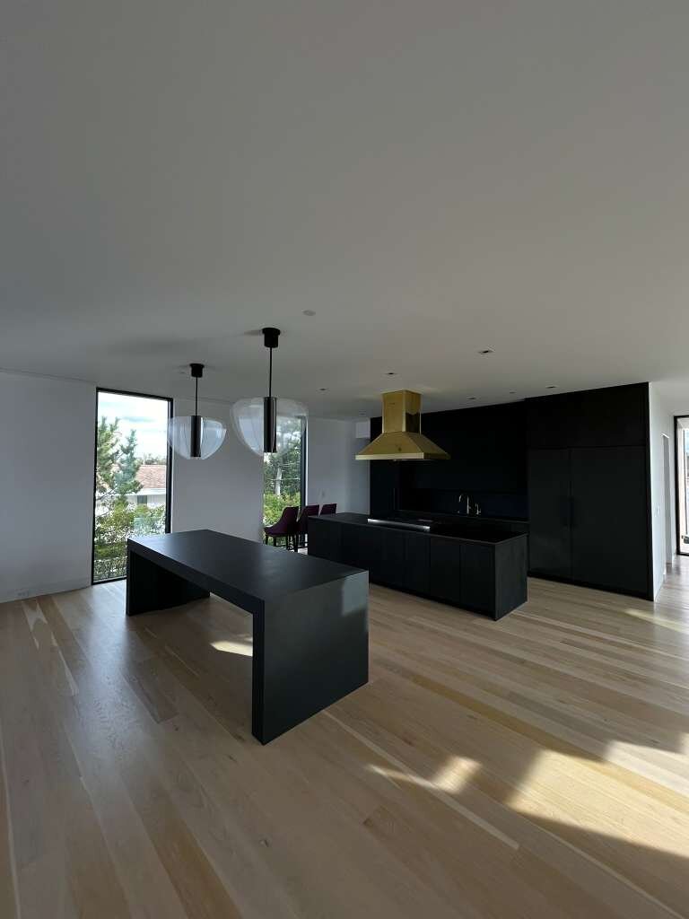 Modern open plan kitchen with black cabinetry and brass range hood